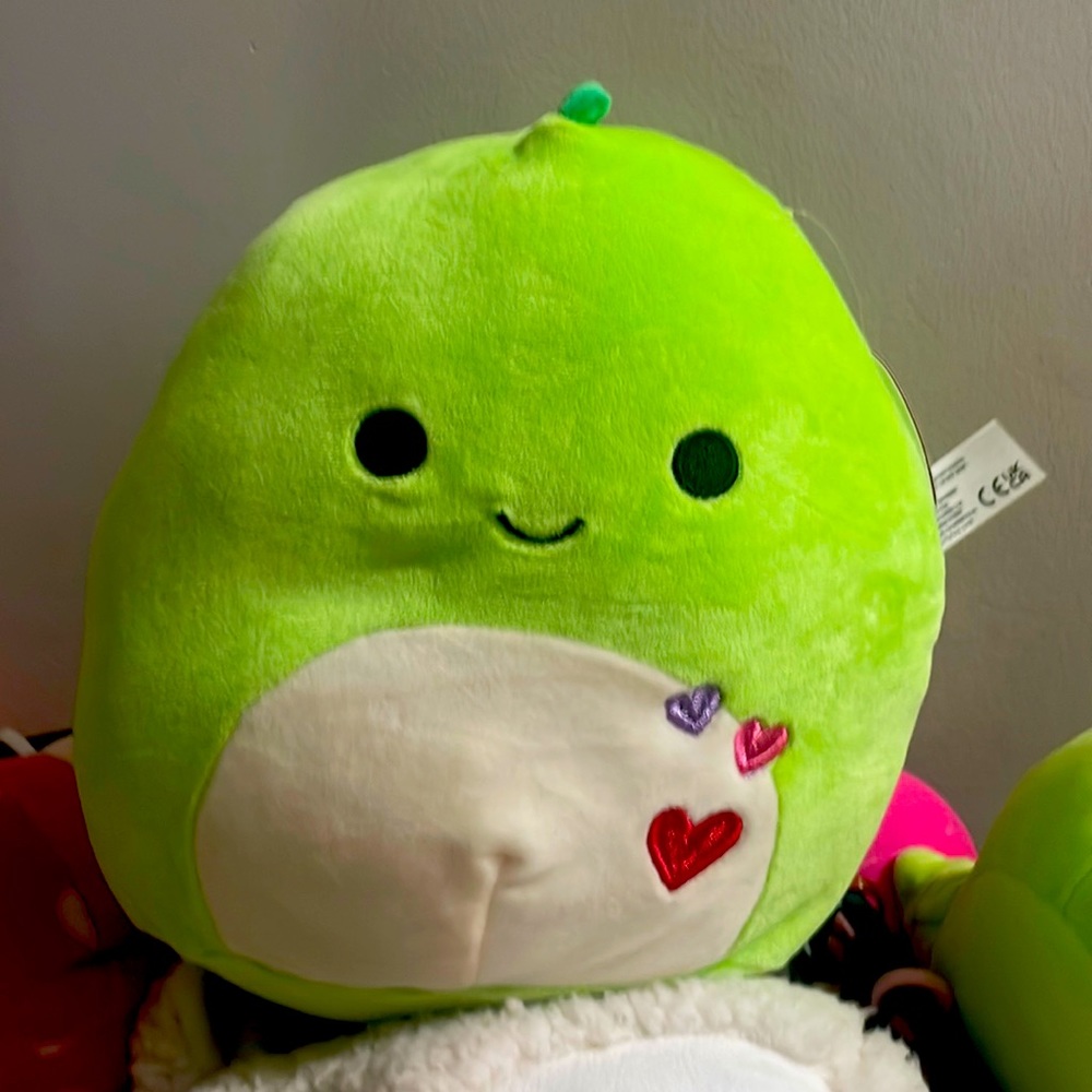 Danny 8” Squishmallow